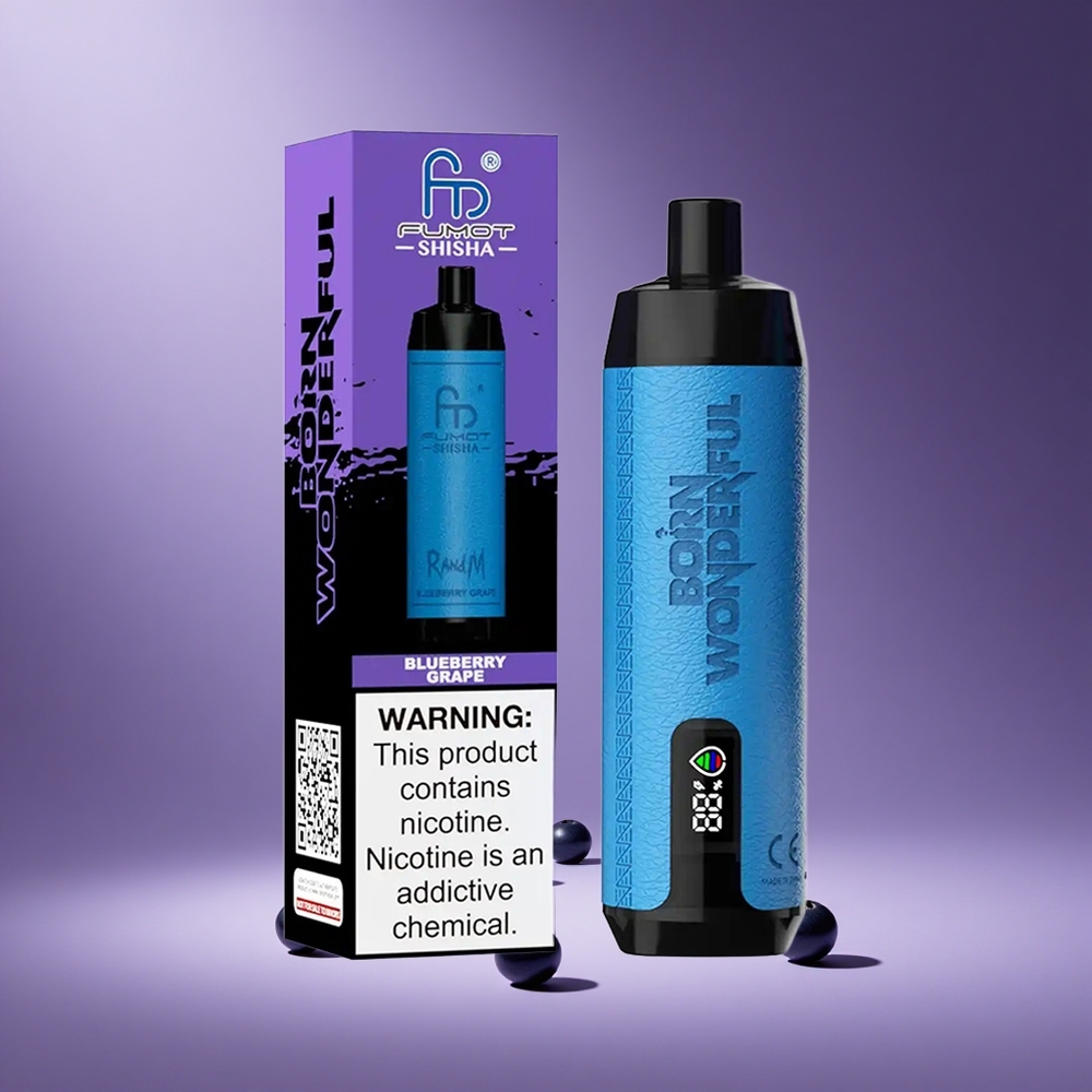 RandM Fumot 10000 Puffs Blueberry Grape Disposable Vape with LED Indicator South Africa wholesale