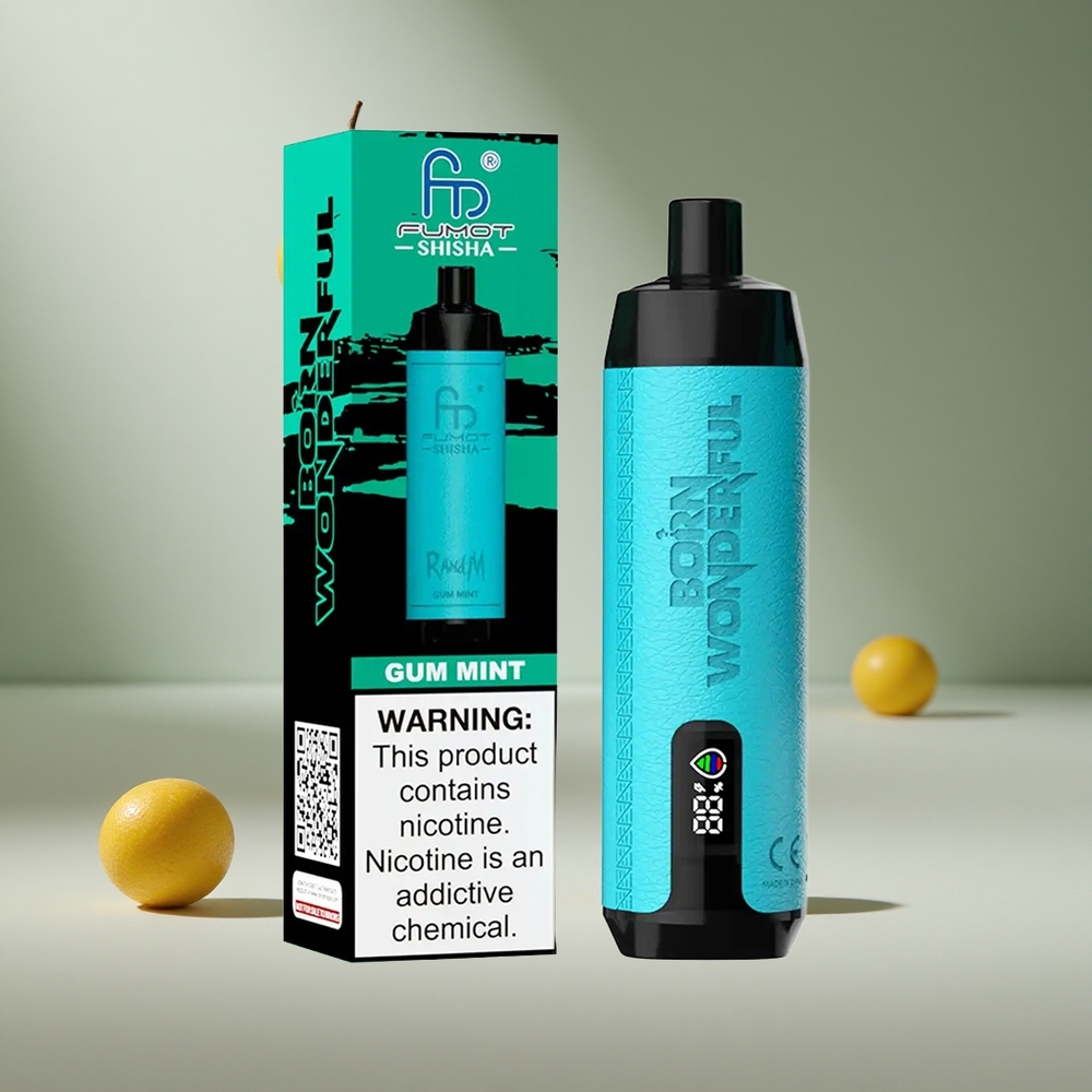 RandM Fumot 10000 Puffs Gum Mint Disposable Vape with 18ml Prefilled E-liquid & LED Indicator South Africa wholesale