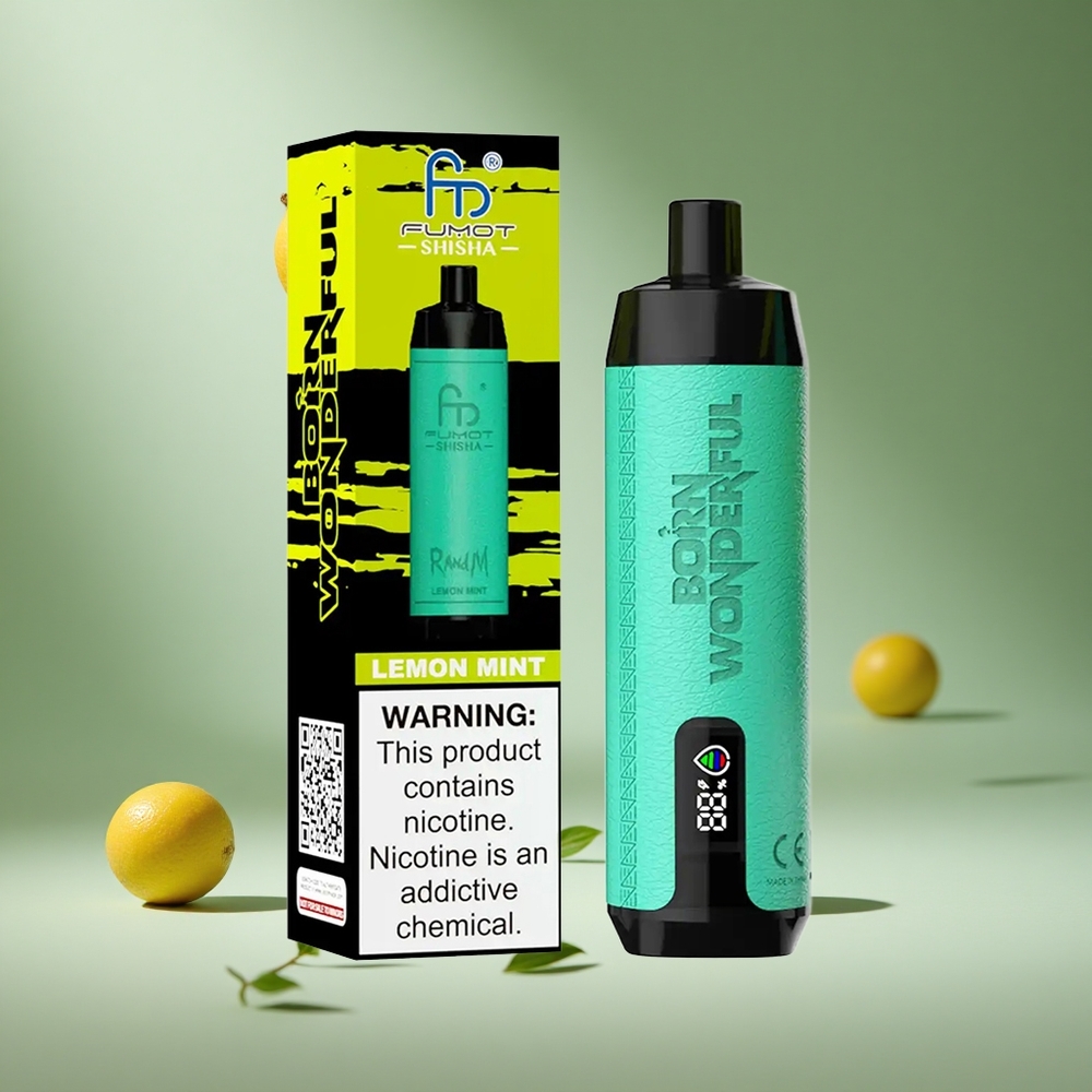 RandM Fumot 10000 Puffs Lemon Mint Disposable Vape with LED Indicator South Africa wholesale